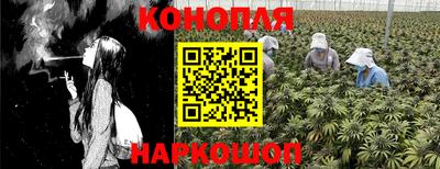 гидропоника Будённовск