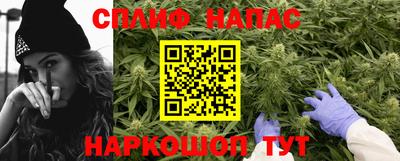гидропоника Будённовск