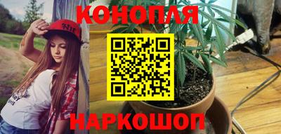 гидропоника Будённовск