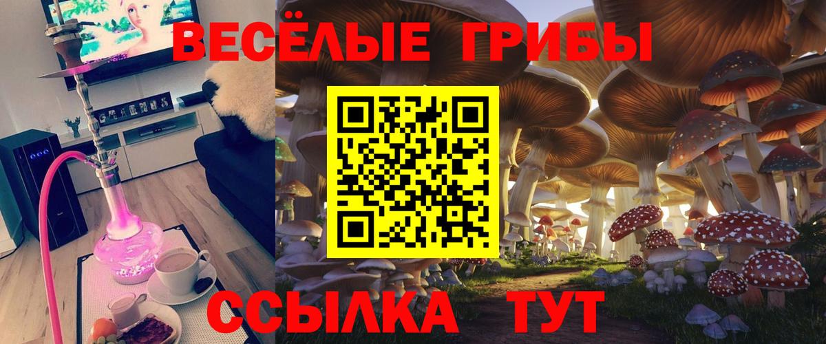 Галлюциногенные грибы мицелий  Вход с VPN  Щёлково  Псилоцибиновые грибы GOLDEN TEACHER 
