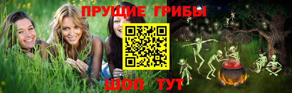 Псилоцибиновые грибы Cubensis Щёлково